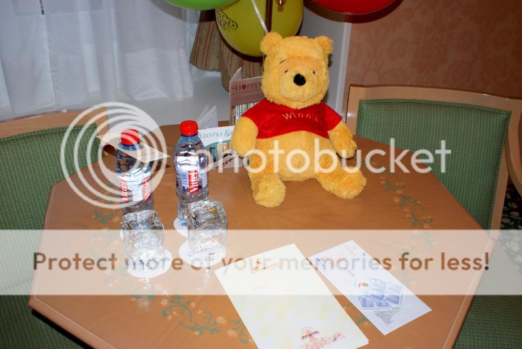 [Disneyland Paris] séjour au disneyland hotel castle club du 25 au 30 janvier 2011 DSC06861