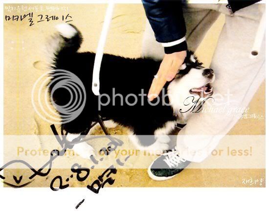 dbsk with their doggies~ 2005240824562073937_rs