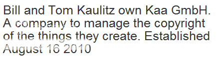 Rumor: I gemelli Kaulitz hanno fondato una società a responsabilità limitata per pubblicare la loro musica Kaagmbh