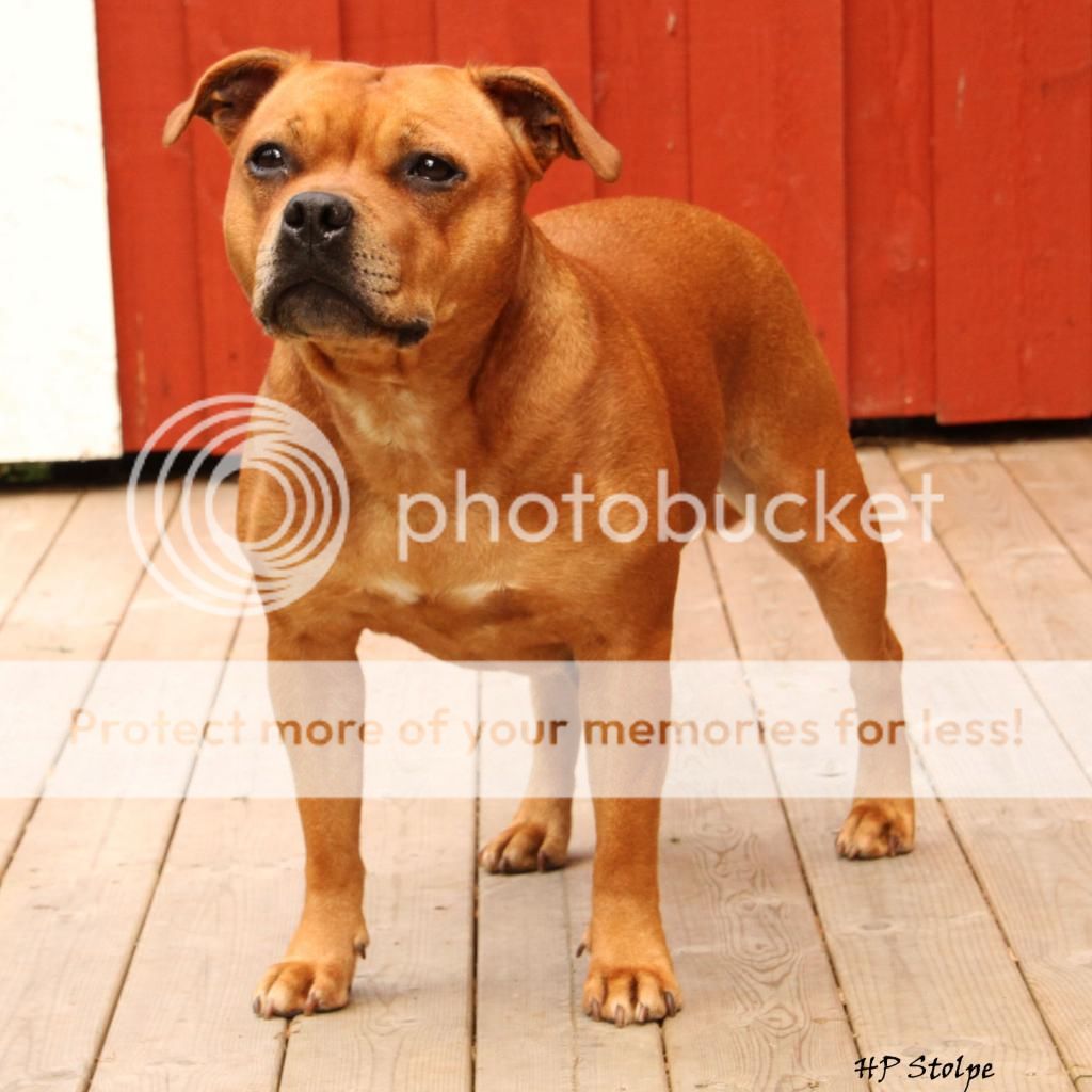 posing - Page 8 IMG_3161_i_zpsdb4a1d23