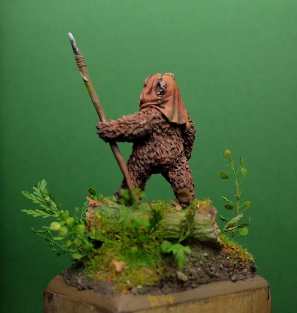 ewok star wars - knight models 75mm DSC_0400_zps4b0ca82a