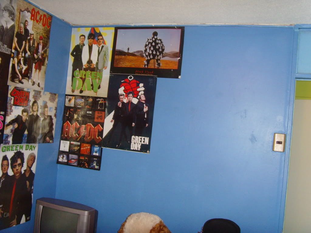 Green Day Rooms xD! SNV33456