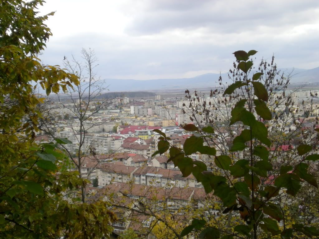  BRASOV - Pagina 2 DSCN3249