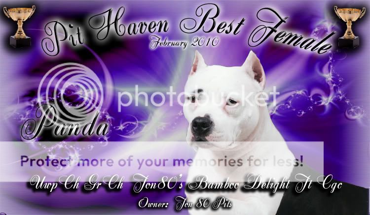 MONTHLY WINNERS FOR 2010-BANNERS HAVE A NEW LOOK THIS YEAR! Femalefeb