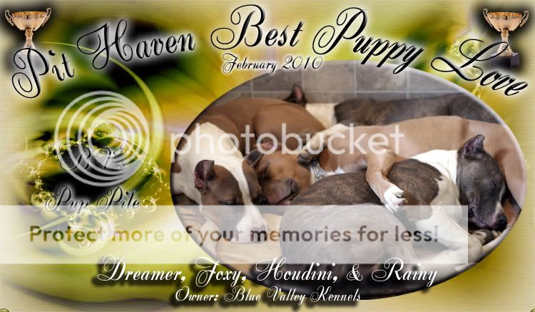 Monthly contest winners for Feb. Puppylove