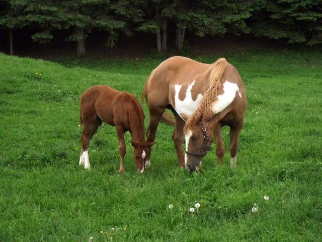 Some Baby Pics June12011044