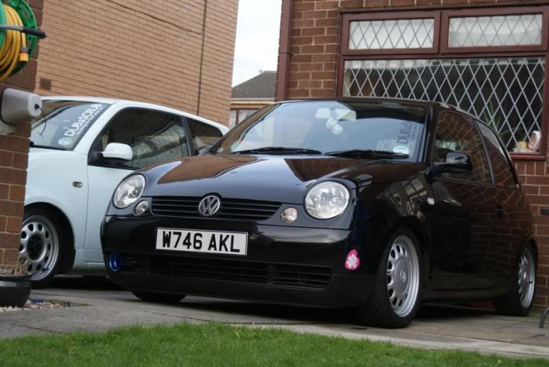 Dans Black Lupo 425882_3466382067195_1500343761_3128620_1360860000_n