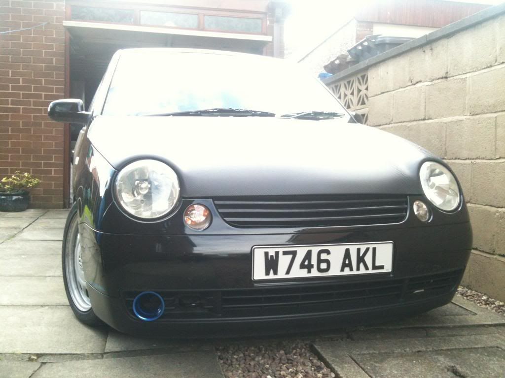 Dans Black Lupo IMG_6559_zpsb29c468f