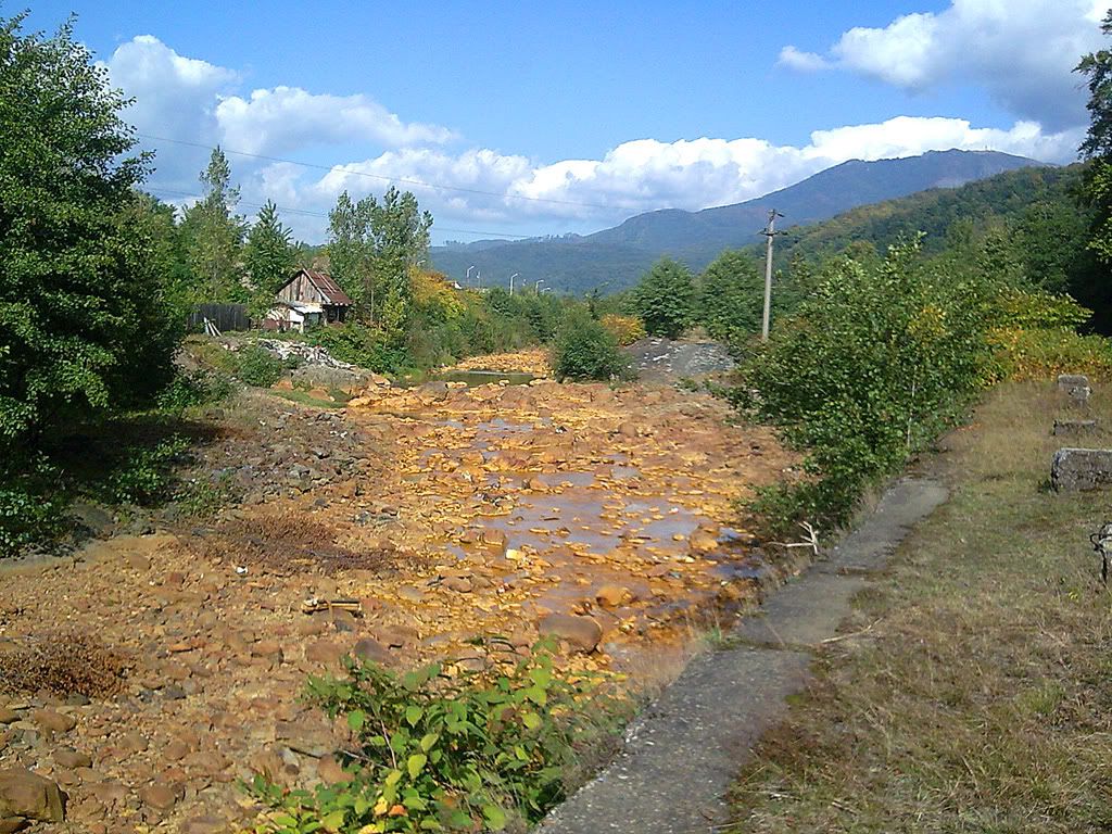 In imprejurimile orasului Baia Mare Imagine017