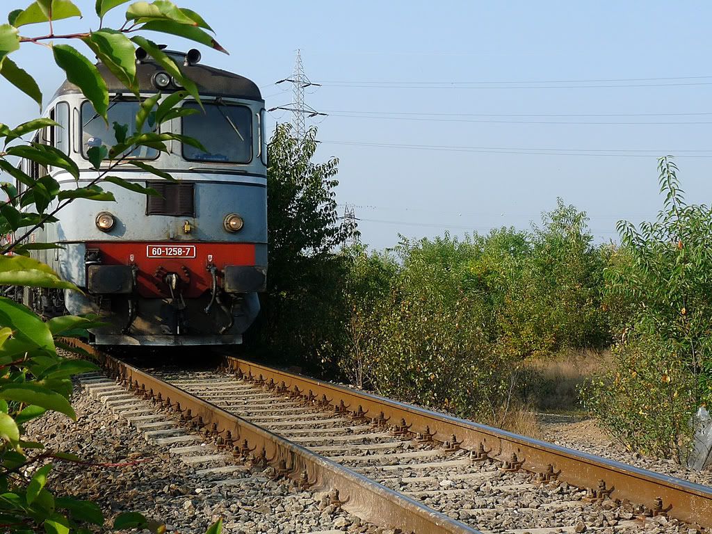 M 400 : Brasov - Miercurea Ciuc - Deda - Baia Mare - Satu Mare P1030645