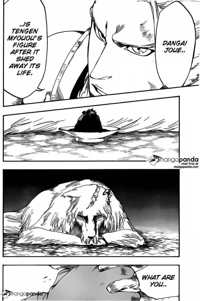 Bleach 557 - His life has already set aside Bleach-4568099