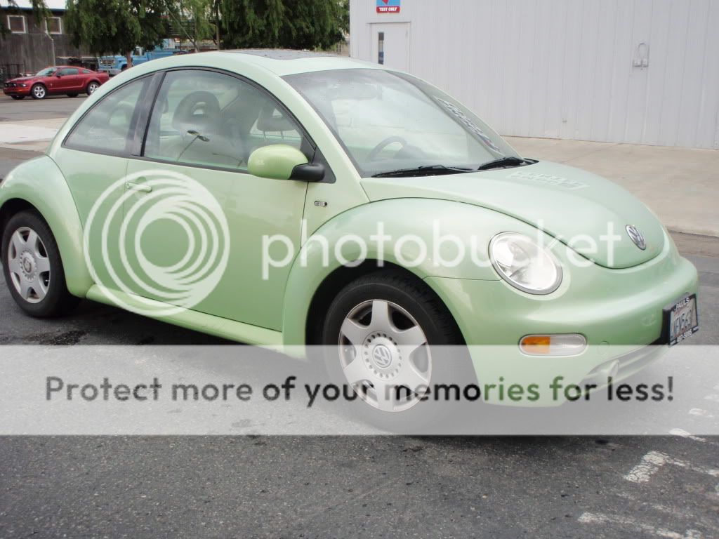 Romance, Families and Pets RP ACTIVE BEETLE001