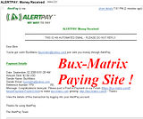 BUX-MATRIX Payments Th_Bux-Matrix1st