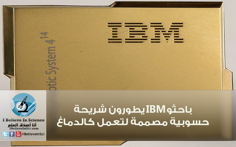 باحثو IBM يطورون شريحة حاسوبية مصممة لتعمل كالدماغ 461