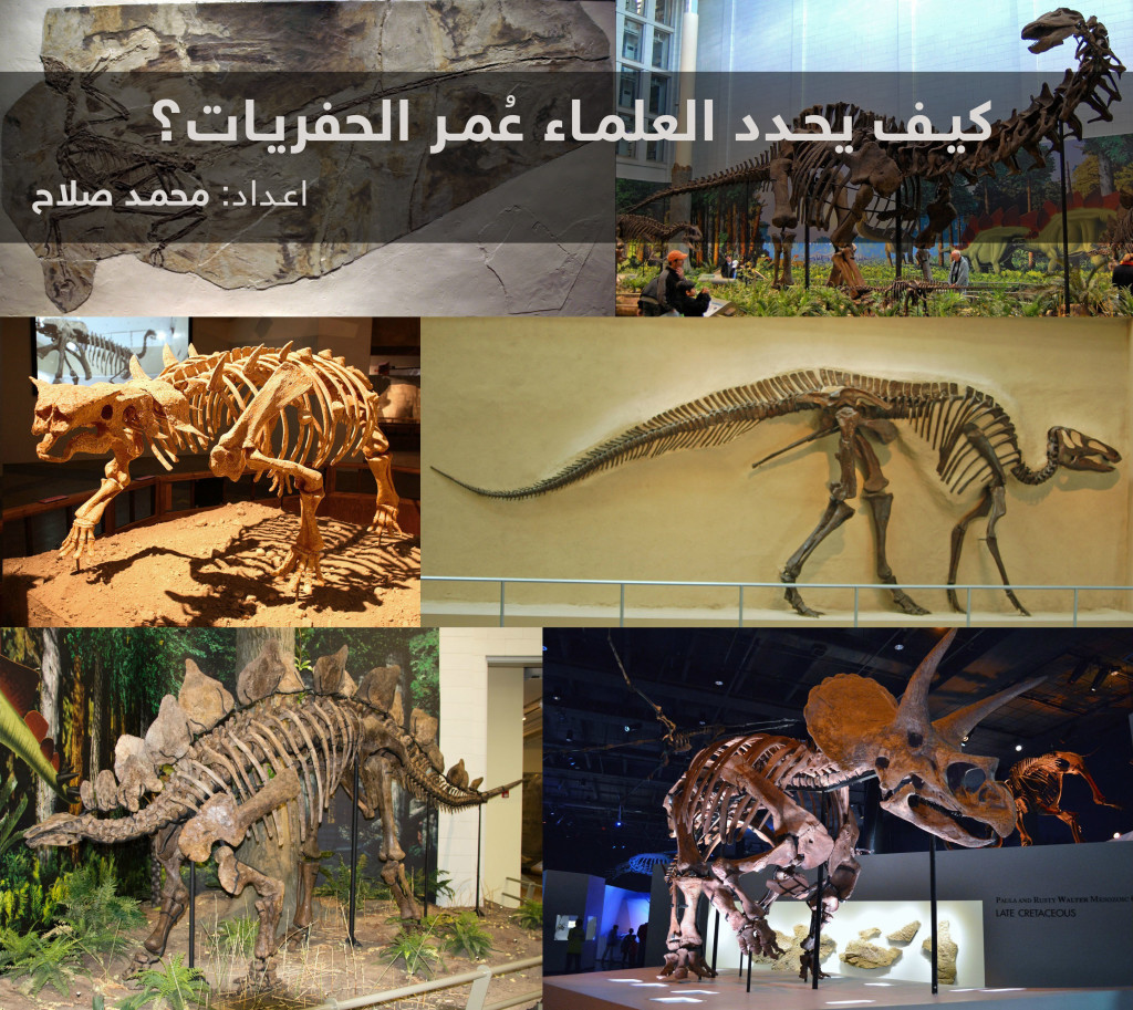 منبر البحوث المتخصصة والدراسات العلمية  يشاهده  23456 زائر Dino-1024x913