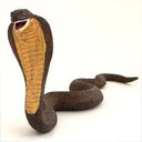 Animals & Idioms Snake