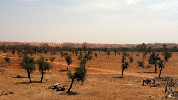 Cómo era el Sahara antes de convertirse en uno de los mayores desiertos del planeta. _95258709_gettyimages-100684801