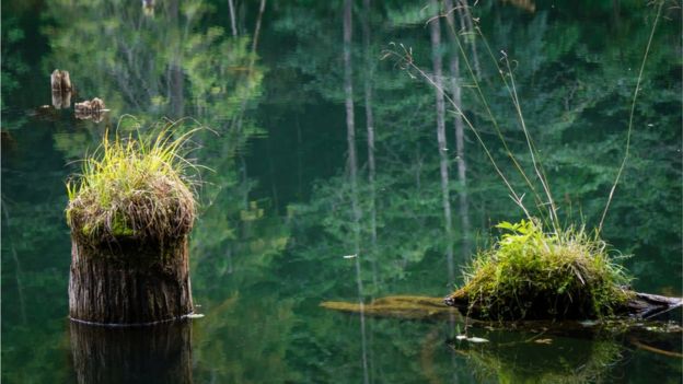 La inmensa fuente de contaminación de la que no nos habíamos dado cuenta hasta ahora _91512499_embalse_thinkstock3