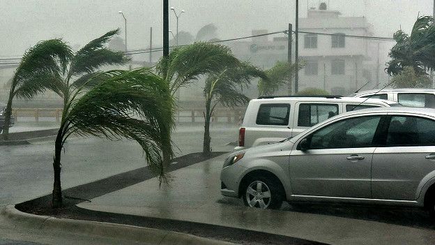 "Potencialmente catastrófico": Elevan a 5 la categoría del huracán Patricia en México  151024055347_palmeras_por_patricia_624x351_afp_nocredit