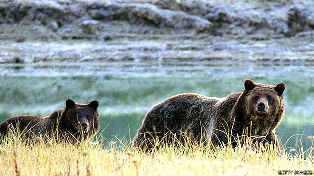 En fotos: el deslumbrante Parque de Yellowstone en 1871 y en la actualidad 160525093245_ys_5_624x351_gettyimages