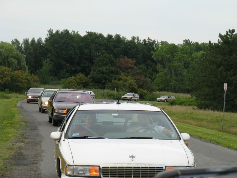 Official Wagonfest 2010 pics thread 736_54