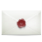 ☊ Chicago Swop Secret-email-icon