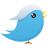 http://icons.iconarchive.com/icons/custom-icon-design/flatastic-11/48/Twitter-1-icon.png