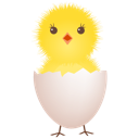 ايقونات صوص-تشان Cute Chicken Icons Chicken-egg-shell-icon