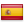 Τελικός Spain-icon