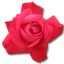 Élisa Vault  - Page 2 Rose-Cerise-icon