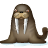 Magazin de pet-uri Walrus-icon