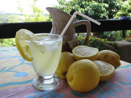 Recette Citronnade Citronnade