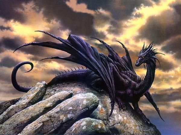 Promenade dans la rserve. Dragon-noir