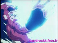 Histoire de Dragon Ball z Finbuu_1_