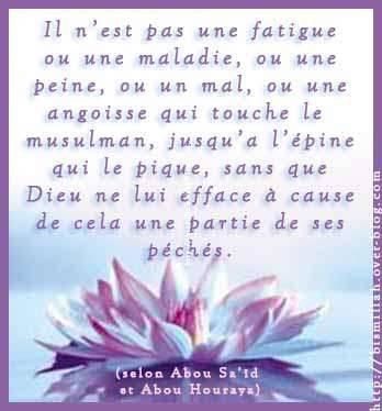 Hadiths en images Pchseffacs5mr1137947944