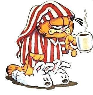 Bon Lundi Garfield1