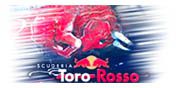 Trombinoscope 2011 Logo-ecurie-F1-toro-rosso