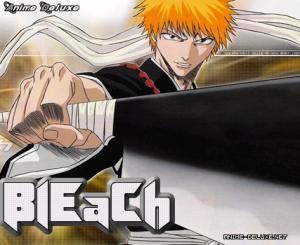 Bleach Licenci !! Bleach