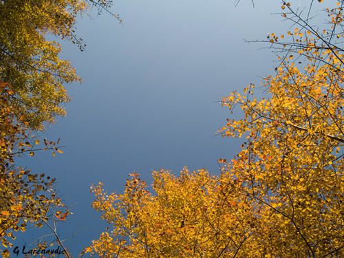 [NATURE] Ciel-automne