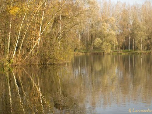 [NATURE] Etang-be