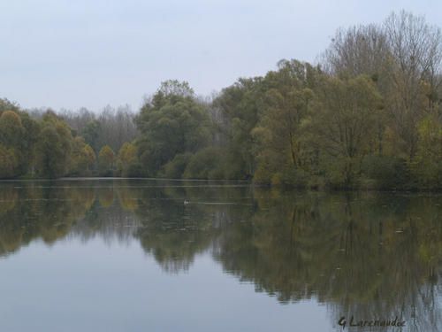 [NATURE] Etang-copie-1