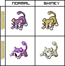 Galerie de Max-Shiney Revamp-devamp-rattata