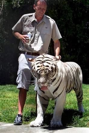 incroyable mais vrai.... animaux et homme (google images) Tigre