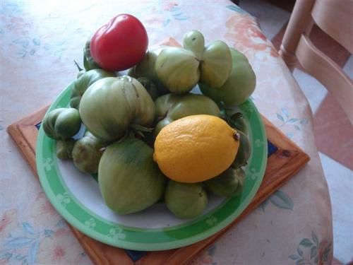 LES CONFITURES DE PAT Tomates2-