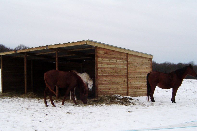 Le Domaine des Chaumes devient...............LUPY el arab - Page 2 DSC03771p