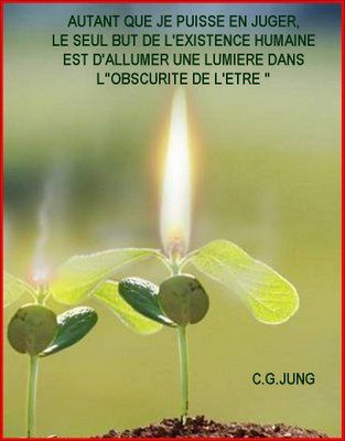 Citations - Page 8 Flamme_plante_lumiere