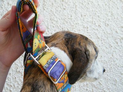 Le collier martingale Collar1