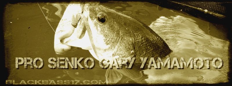 blackbass17.com Prosenkogaryyamamoto