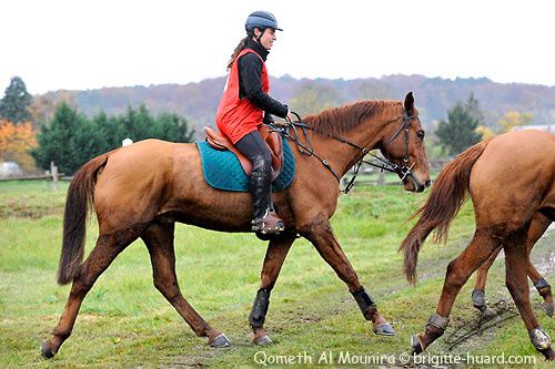 2014 - Barbes en endurance Ile-de-France 2014 - Page 6 Qometh-a-l-arrivee