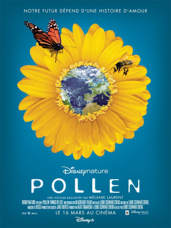 Pollen - Louie Schwartzberg Ectac.Pollen-Film-de-Louie-Schwartzberg.03